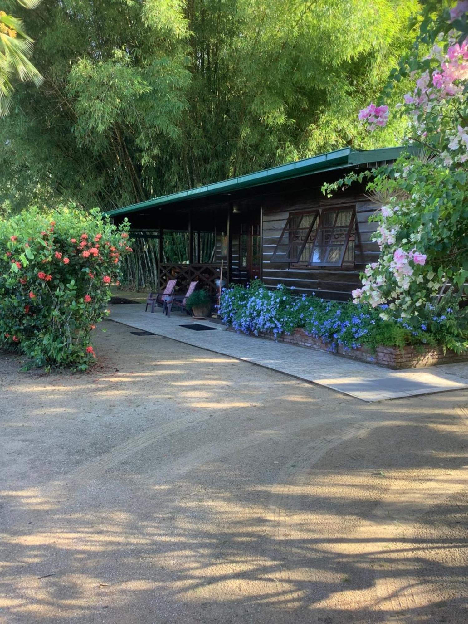 Villa Bamboe Meerzorg Exterior foto